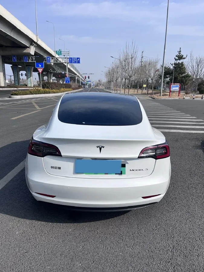 2022 Tesla Model 3 BEV 60KWH,autocango,china used car exporter,china ev exporter,chinese used car exporter,chinese used ev exporter