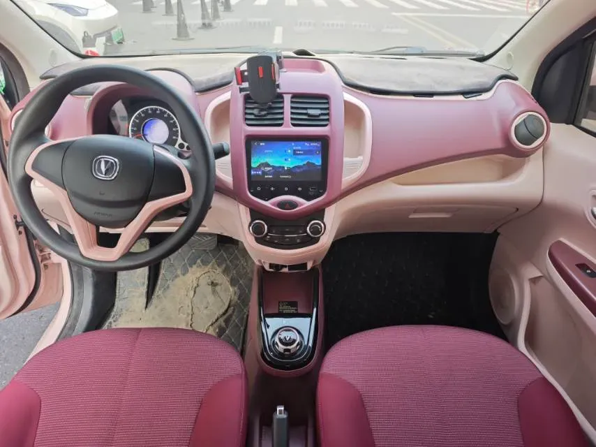 2021 ChangAn BenBen E-Star BEV 31.18KWH,autocango,china used car exporter,china ev exporter,chinese used car exporter,chinese used ev exporter