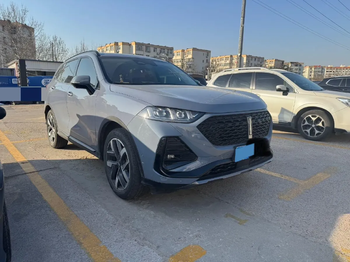 2022 WEY Latte DHT 1.5T 156HP L4 2DHT Hybrid,autocango,china used car exporter,china ev exporter,chinese used car exporter,chinese used ev exporter