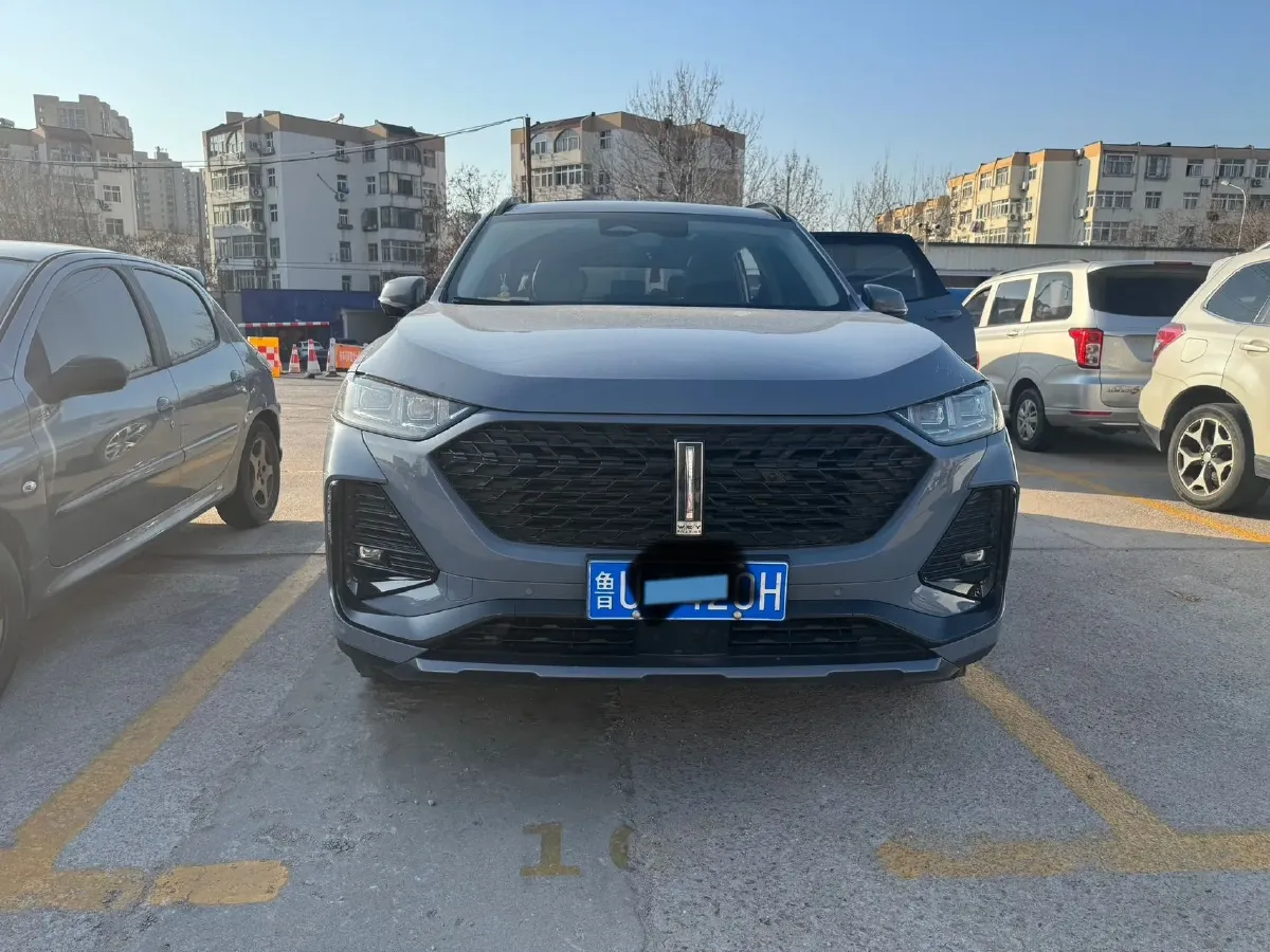 2022 WEY Latte DHT 1.5T 156HP L4 2DHT Hybrid,autocango,china used car exporter,china ev exporter,chinese used car exporter,chinese used ev exporter