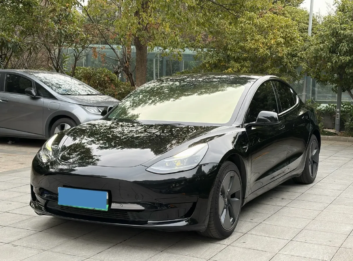 2021 Tesla Model 3 BEV 55KWH,autocango,china used car exporter,china ev exporter,chinese used car exporter,chinese used ev exporter