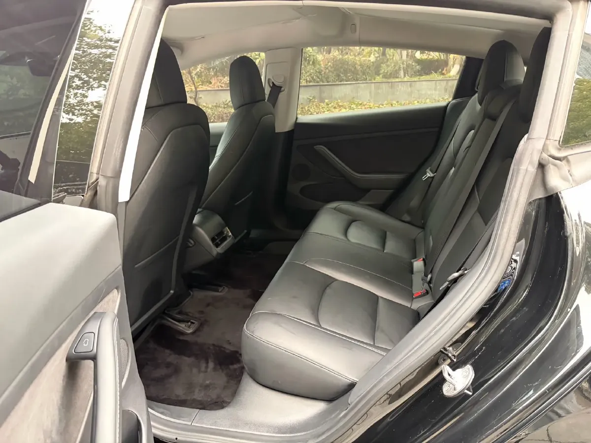 2021 Tesla Model 3 BEV 55KWH,autocango,china used car exporter,china ev exporter,chinese used car exporter,chinese used ev exporter