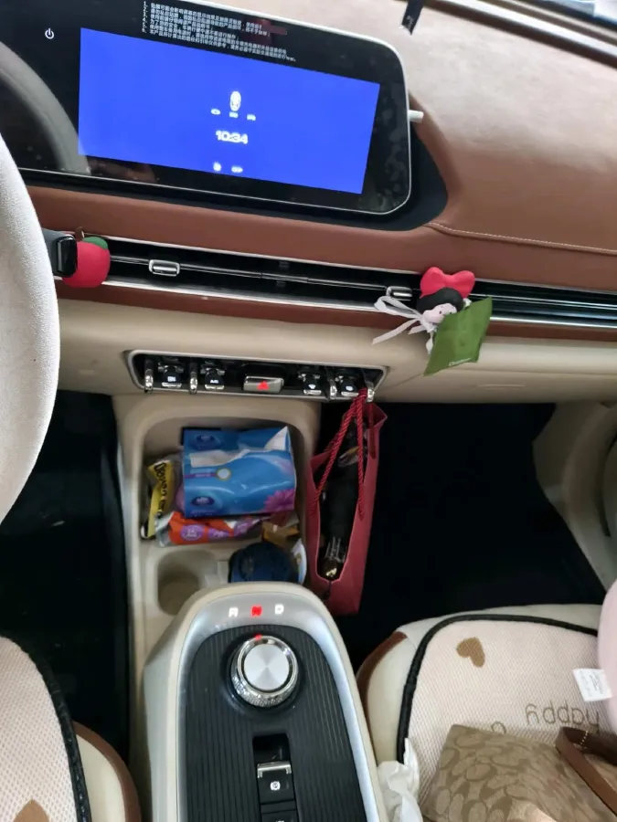 2021 Ora FunkyCat BEV 45.99KWH,autocango,china used car exporter,china ev exporter,chinese used car exporter,chinese used ev exporter