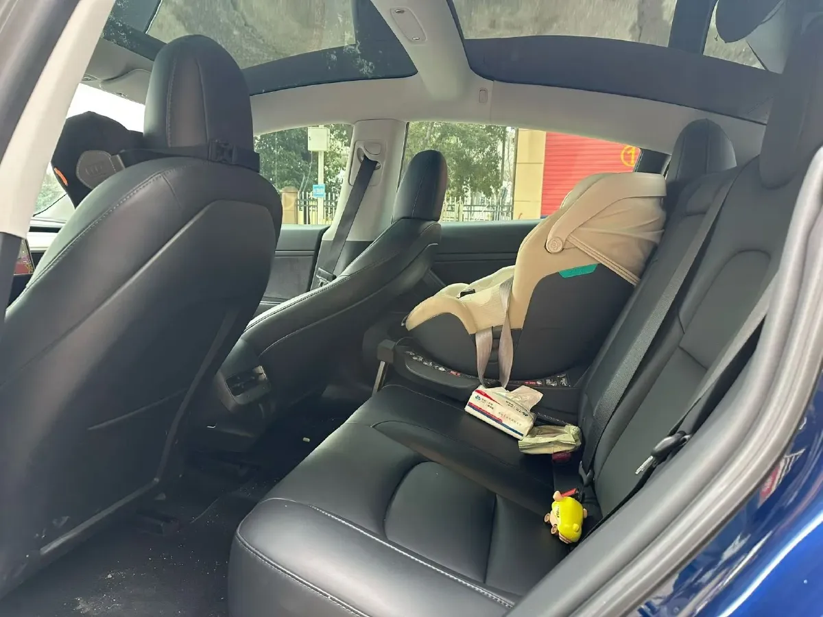 2020 Tesla Model 3 BEV 52KWH,autocango,china used car exporter,china ev exporter,chinese used car exporter,chinese used ev exporter