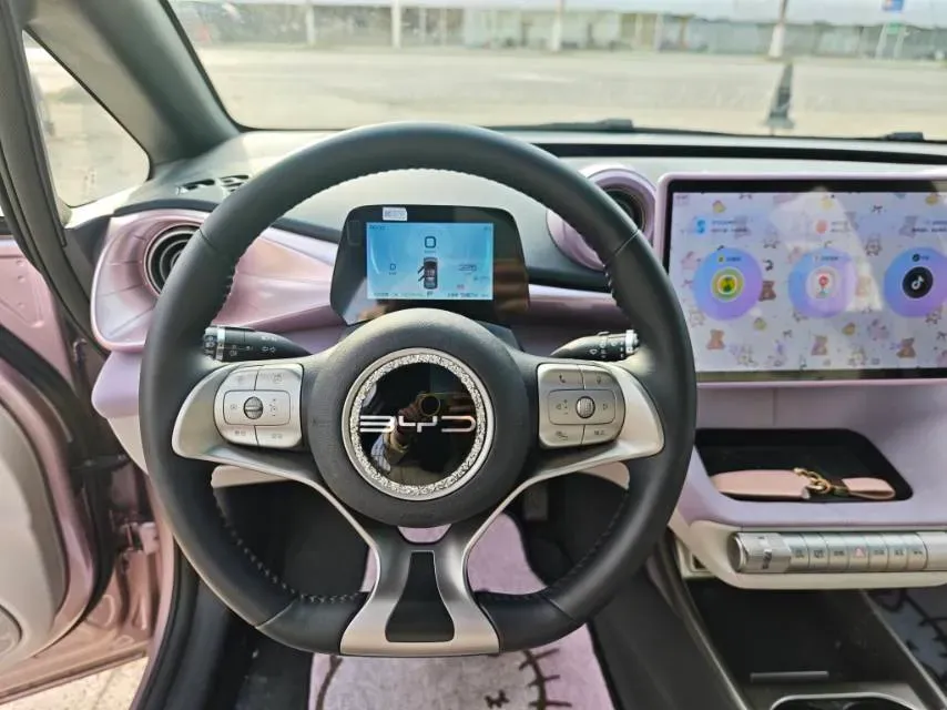 2023 BYD Dolphin BEV 44.928KWH,autocango,china used car exporter,china ev exporter,chinese used car exporter,chinese used ev exporter