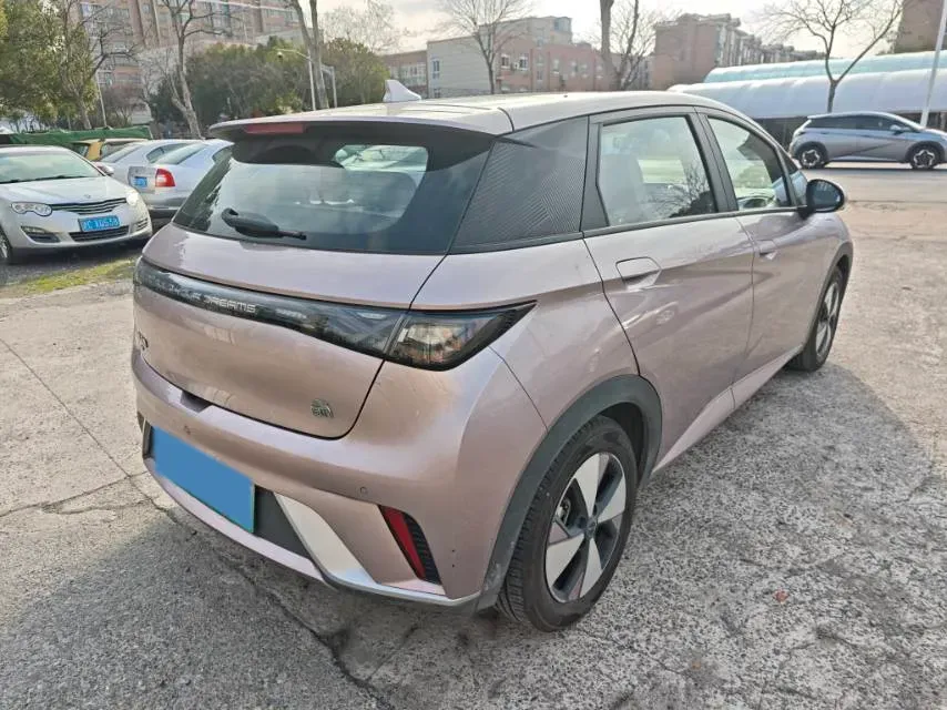2023 BYD Dolphin BEV 44.928KWH,autocango,china used car exporter,china ev exporter,chinese used car exporter,chinese used ev exporter