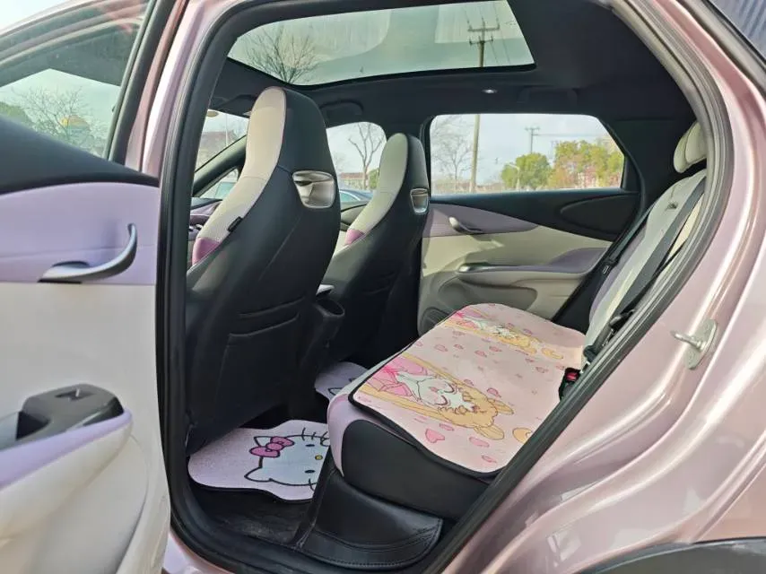 2023 BYD Dolphin BEV 44.928KWH,autocango,china used car exporter,china ev exporter,chinese used car exporter,chinese used ev exporter