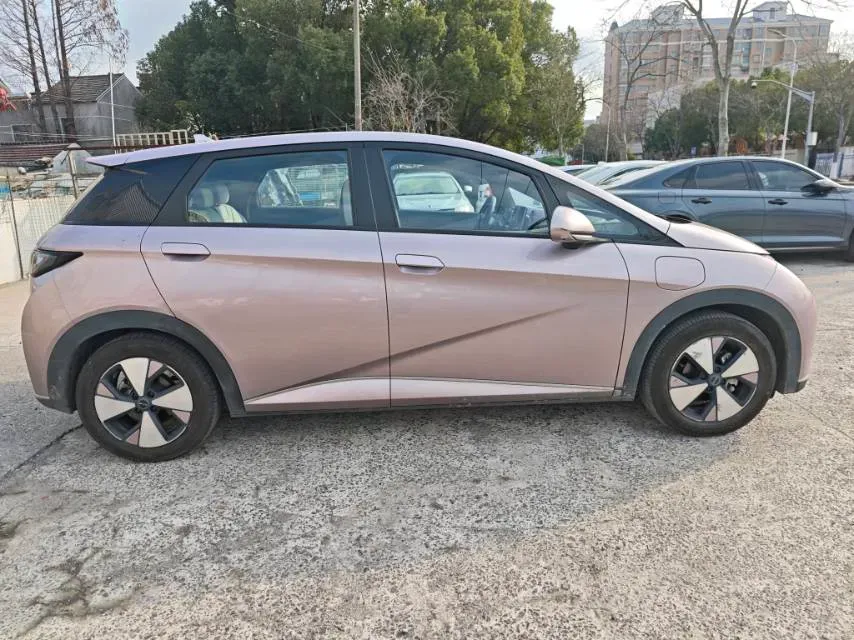 2023 BYD Dolphin BEV 44.928KWH,autocango,china used car exporter,china ev exporter,chinese used car exporter,chinese used ev exporter