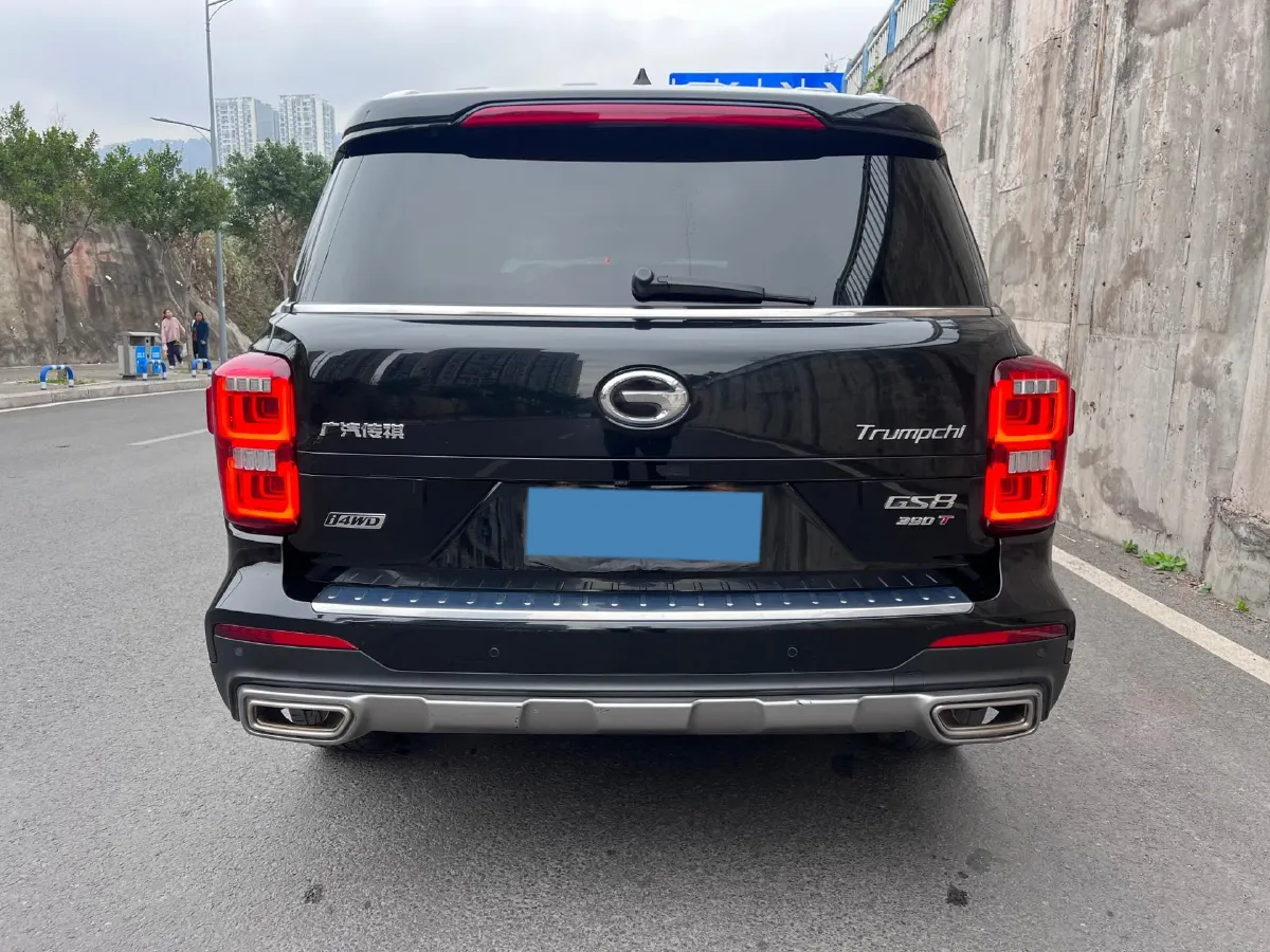 2020 GAC Trumpchi GS8 2.0T 252HP L4 6AT,autocango,china used car exporter,china ev exporter,chinese used car exporter,chinese used ev exporter