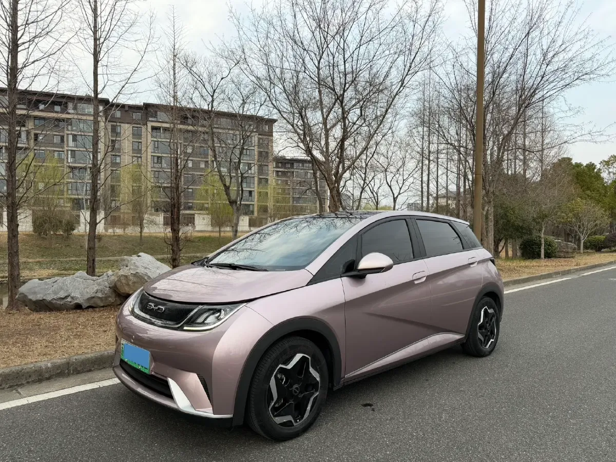 2021 BYD Yuan Pro BEV 50.1KWH,autocango,china used car exporter,china ev exporter,chinese used car exporter,chinese used ev exporter