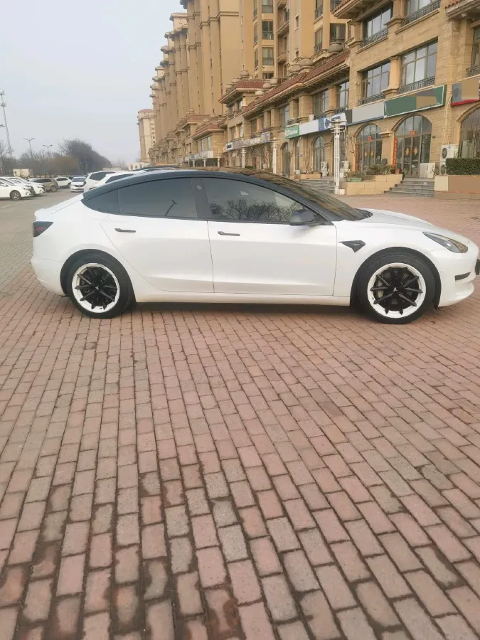 2021 Tesla Model 3 BEV 55KWH,autocango,china used car exporter,china ev exporter,chinese used car exporter,chinese used ev exporter