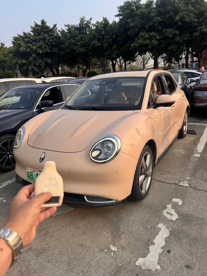 2021 Ora FunkyCat BEV 45.99KWH,autocango,china used car exporter,china ev exporter,chinese used car exporter,chinese used ev exporter