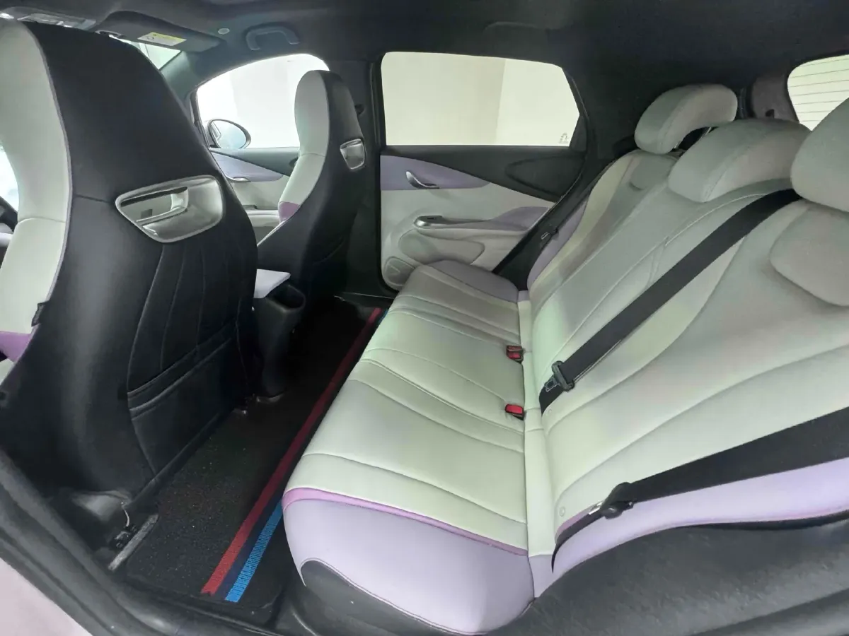 2021 BYD Yuan Pro BEV 50.1KWH,autocango,china used car exporter,china ev exporter,chinese used car exporter,chinese used ev exporter