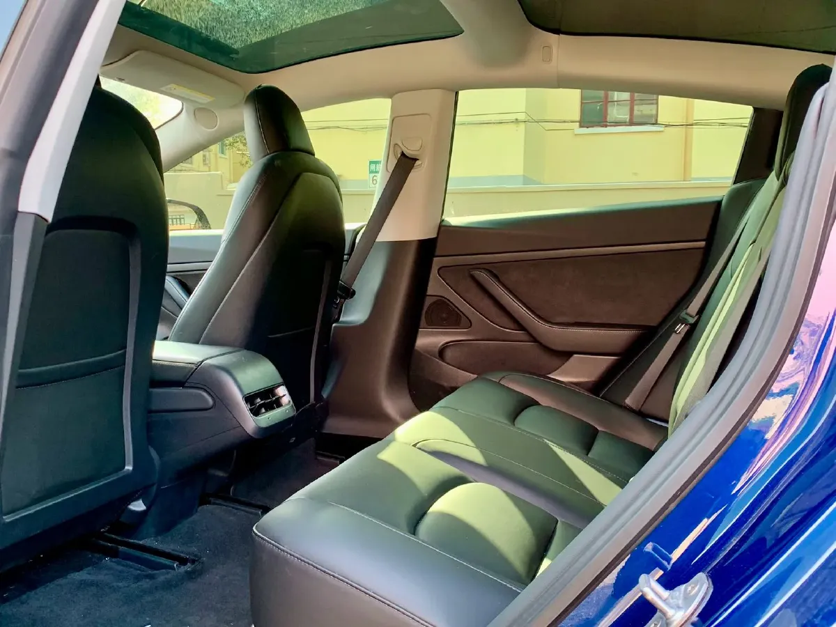 2020 Tesla Model 3 BEV 52KWH,autocango,china used car exporter,china ev exporter,chinese used car exporter,chinese used ev exporter