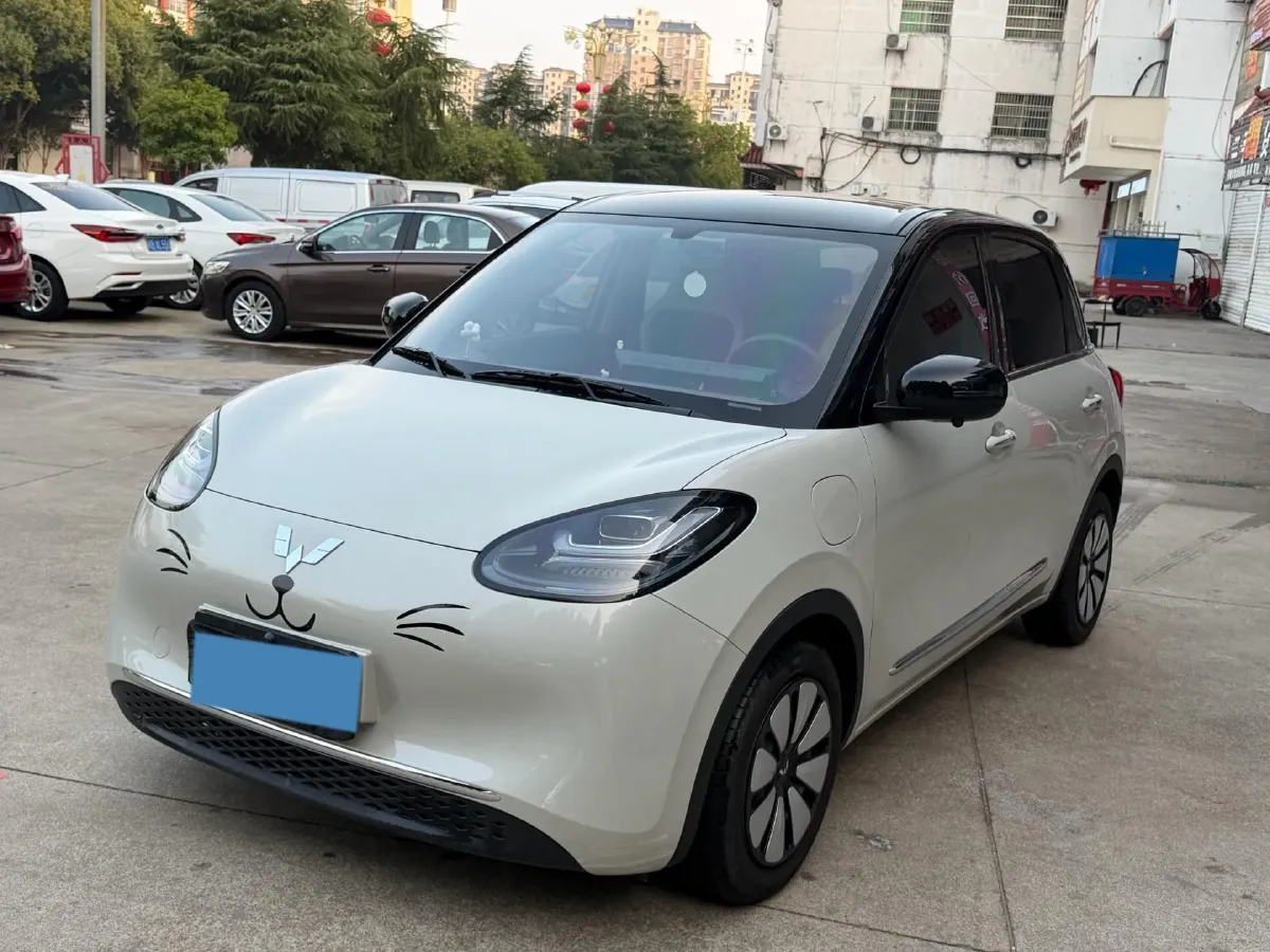 2024 WuLing BinGuo BEV 31.9KWH,autocango,china used car exporter,china ev exporter,chinese used car exporter,chinese used ev exporter