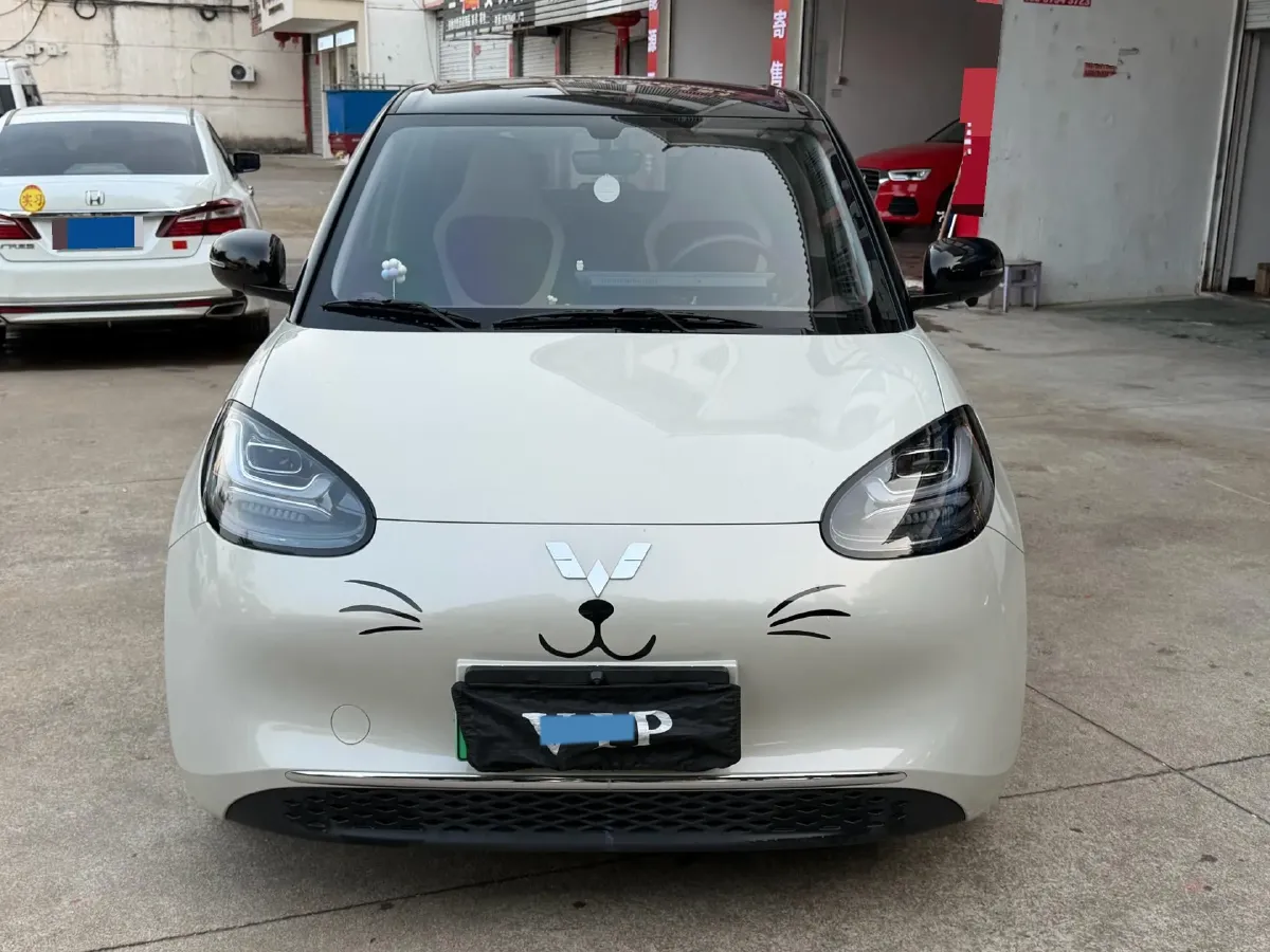 2024 WuLing BinGuo BEV 31.9KWH,autocango,china used car exporter,china ev exporter,chinese used car exporter,chinese used ev exporter