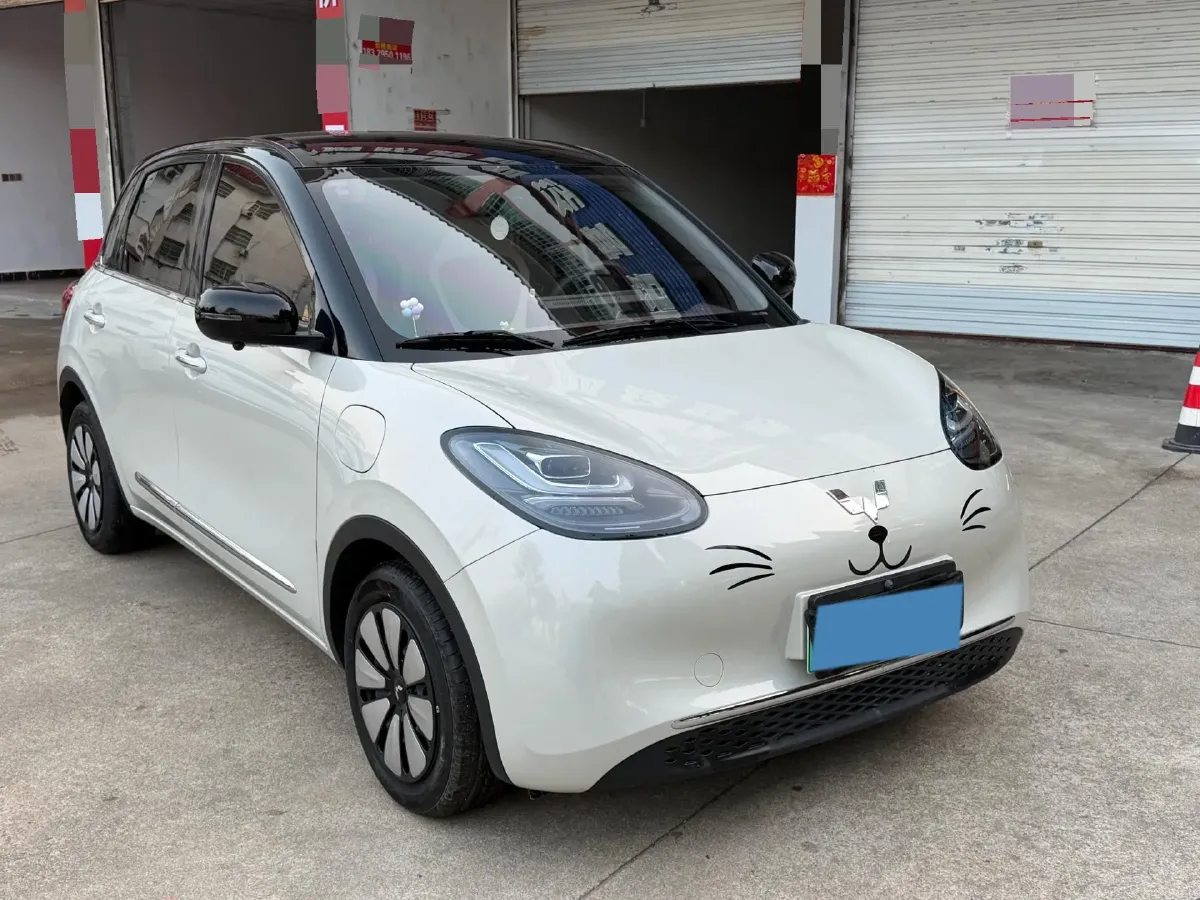2024 WuLing BinGuo BEV 31.9KWH,autocango,china used car exporter,china ev exporter,chinese used car exporter,chinese used ev exporter