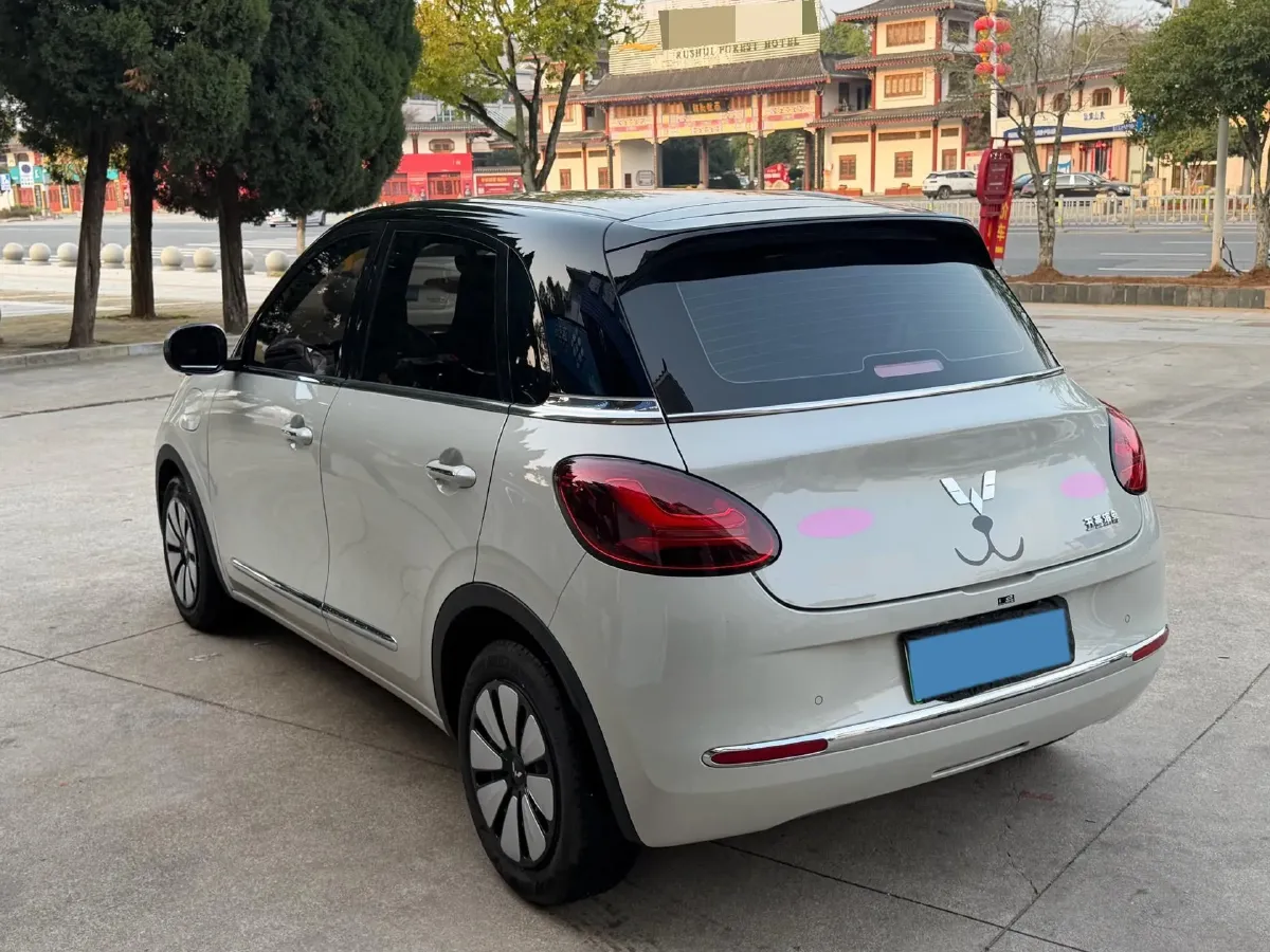 2024 WuLing BinGuo BEV 31.9KWH,autocango,china used car exporter,china ev exporter,chinese used car exporter,chinese used ev exporter