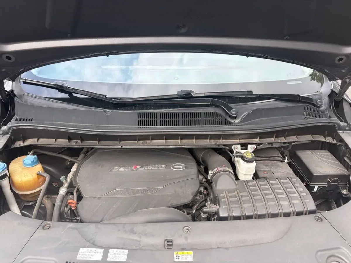 2021 GAC Trumpchi M8 2.0T 252HP L4 8AT,autocango,china used car exporter,china ev exporter,chinese used car exporter,chinese used ev exporter