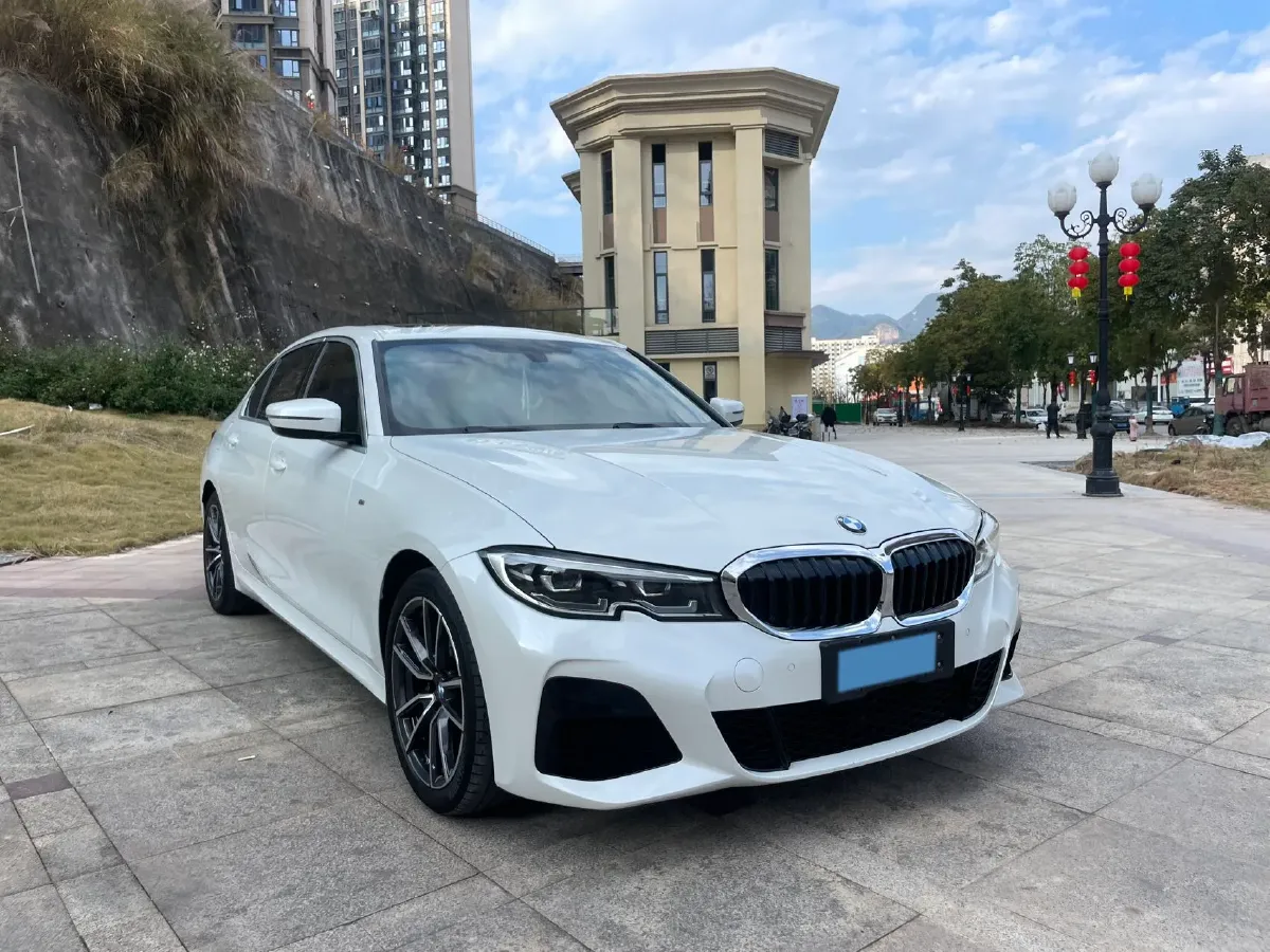 2021 BMW 3 Series 2.0T 156HP L4 8AT,autocango,china used car exporter,china ev exporter,chinese used car exporter,chinese used ev exporter