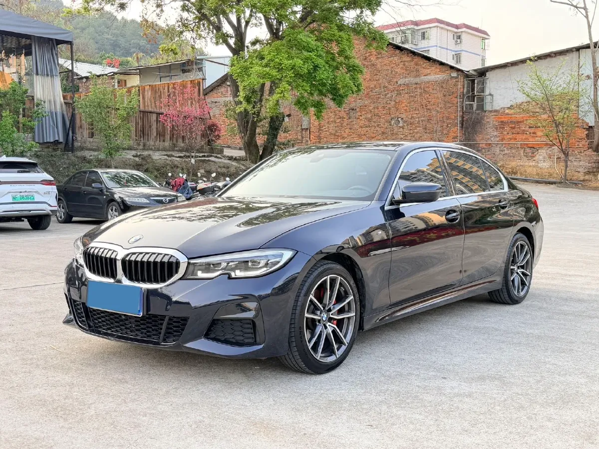2021 BMW 3 Series 2.0T 184HP L4 8AT,autocango,china used car exporter,china ev exporter,chinese used car exporter,chinese used ev exporter