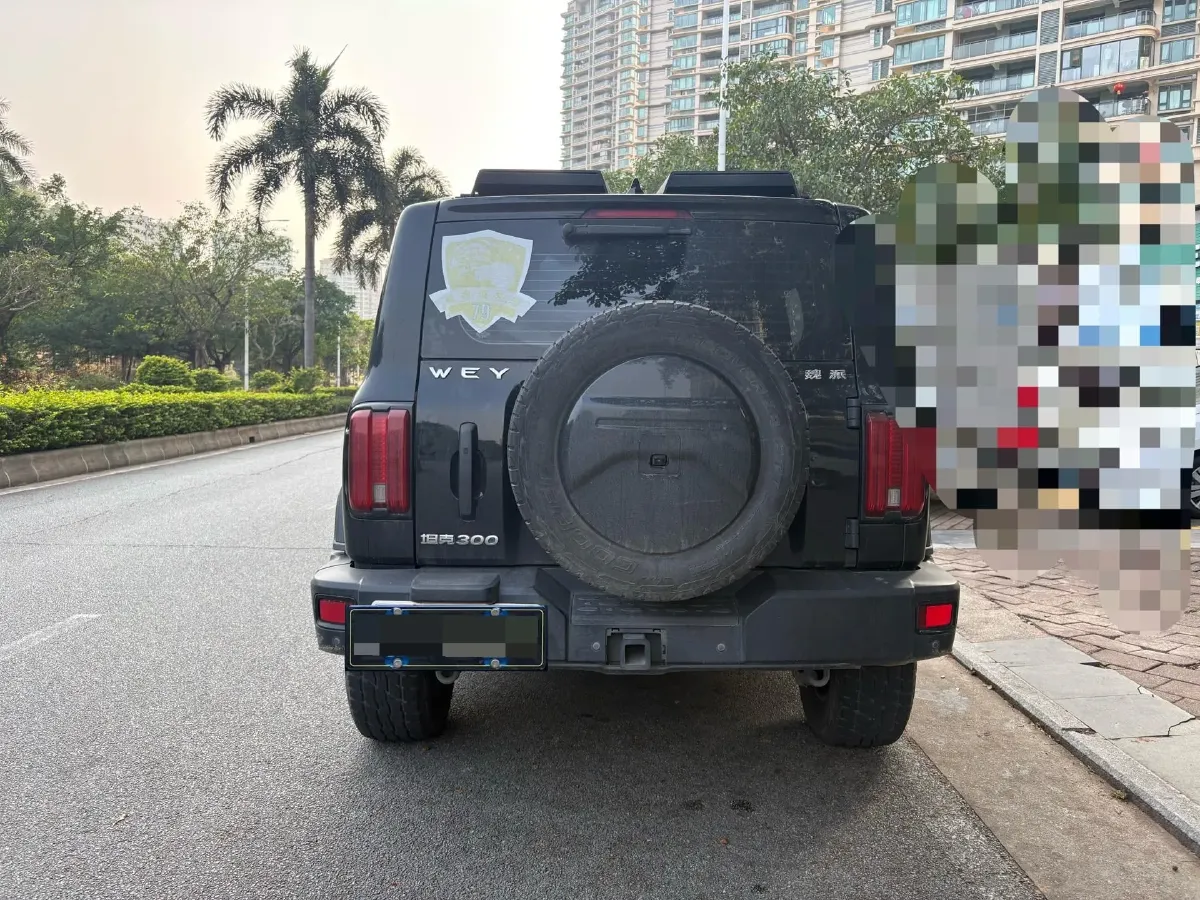 2021 Tank 300 2.0T 227HP L4 8AT,autocango,china used car exporter,china ev exporter,chinese used car exporter,chinese used ev exporter