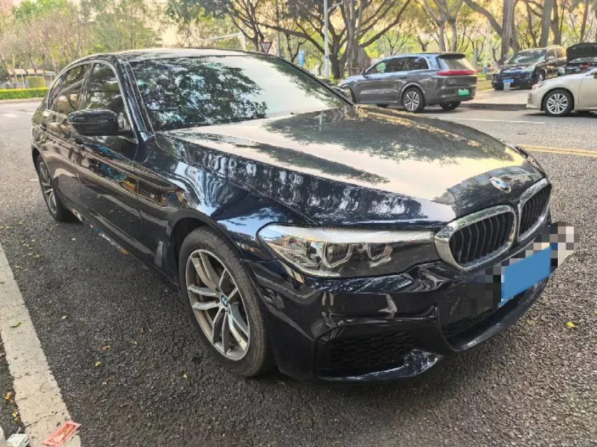 2020 BMW 5 Series 2.0T 184HP L4 8AT,autocango,china used car exporter,china ev exporter,chinese used car exporter,chinese used ev exporter