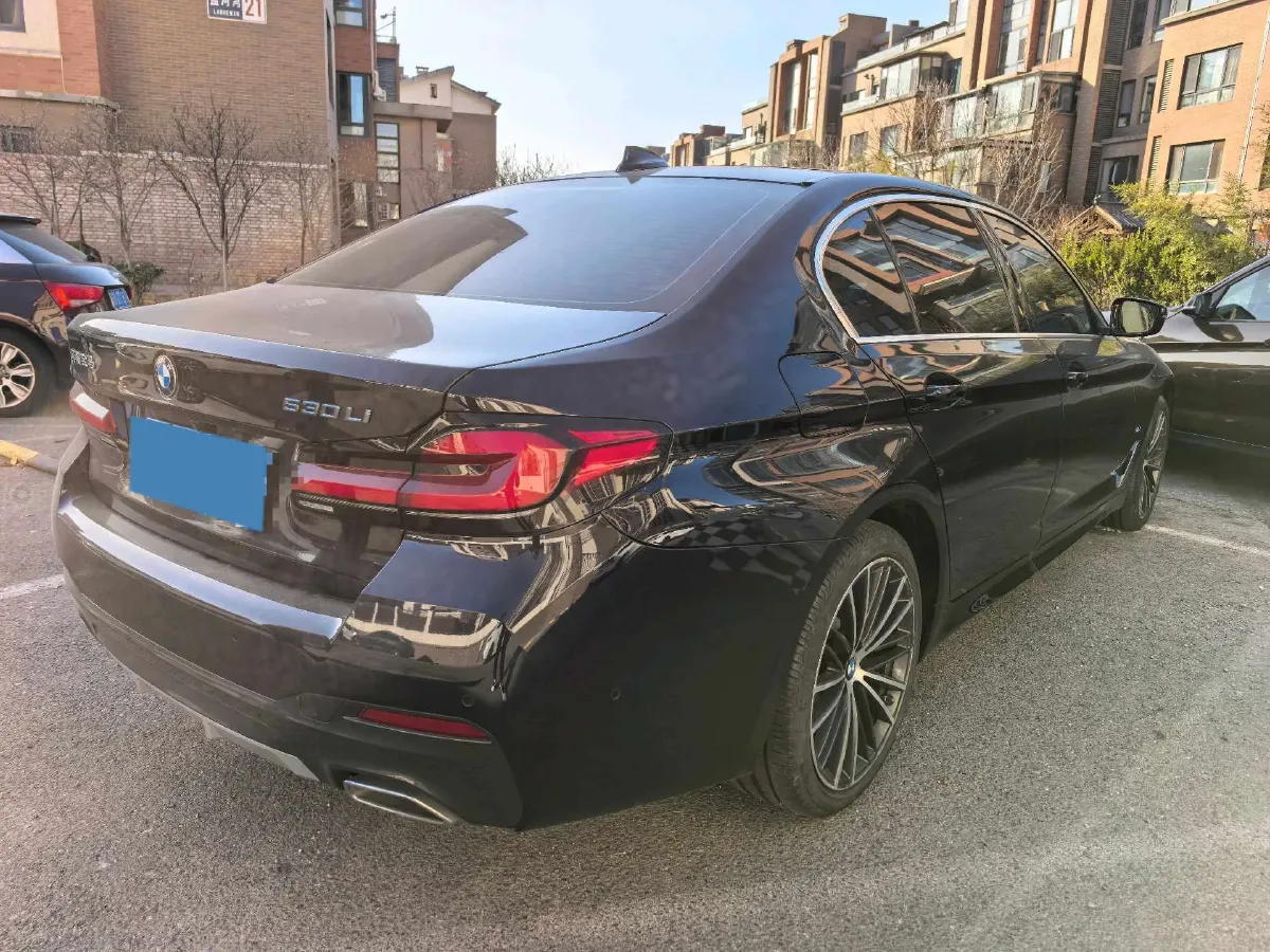 2021 BMW 5 Series 2.0T 252HP L4 8AT,autocango,china used car exporter,china ev exporter,chinese used car exporter,chinese used ev exporter