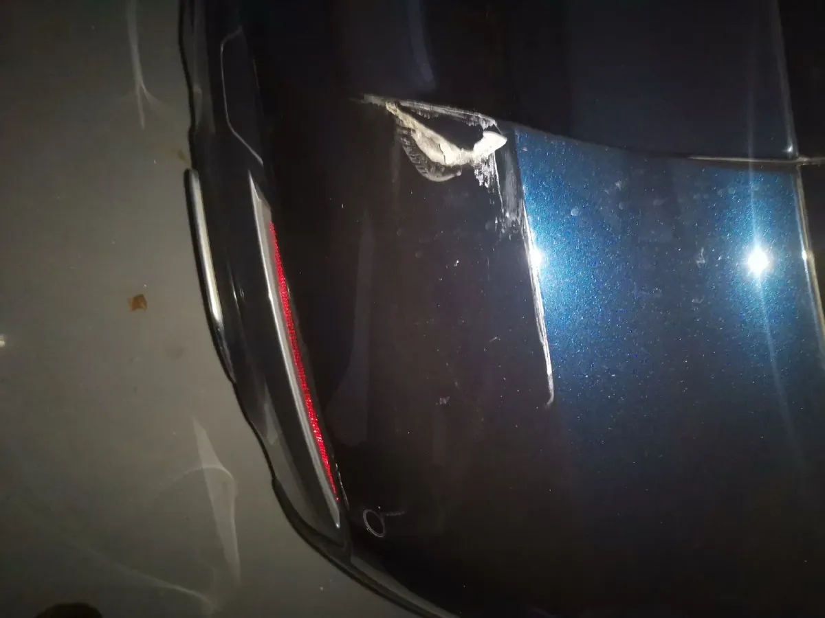 2023 BMW 5 Series 2.0T 245HP L4 8AT,autocango,china used car exporter,china ev exporter,chinese used car exporter,chinese used ev exporter