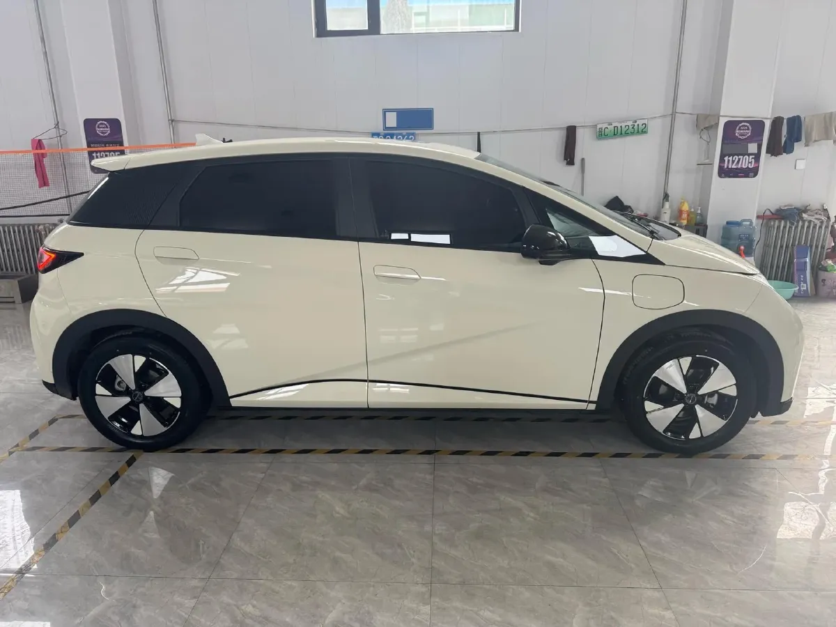 2024 BYD Dolphin BEV 44.928KWH,autocango,china used car exporter,china ev exporter,chinese used car exporter,chinese used ev exporter