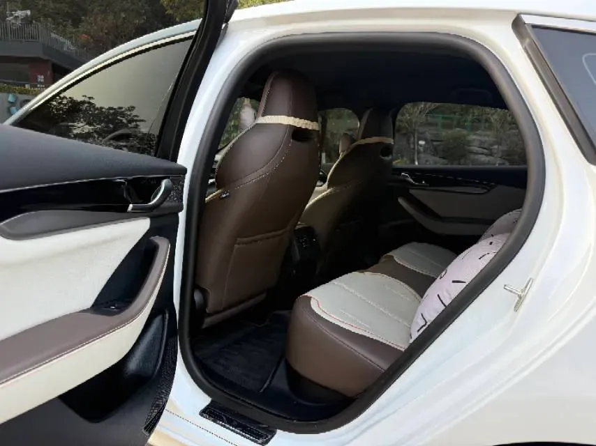 2024 BYD Qin Plus BEV 57.6KWH,autocango,china used car exporter,china ev exporter,chinese used car exporter,chinese used ev exporter