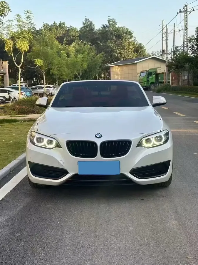 2019 BMW 2 Series 2.0T 184HP L4 8AT,autocango,china used car exporter,china ev exporter,chinese used car exporter,chinese used ev exporter