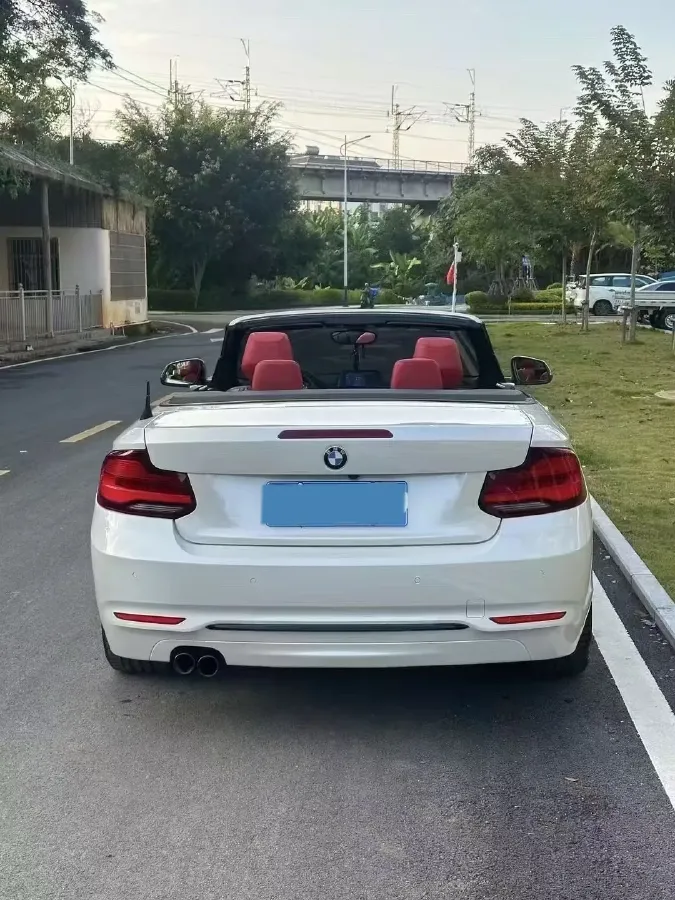 2019 BMW 2 Series 2.0T 184HP L4 8AT,autocango,china used car exporter,china ev exporter,chinese used car exporter,chinese used ev exporter