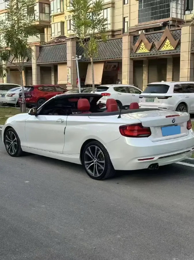 2019 BMW 2 Series 2.0T 184HP L4 8AT,autocango,china used car exporter,china ev exporter,chinese used car exporter,chinese used ev exporter