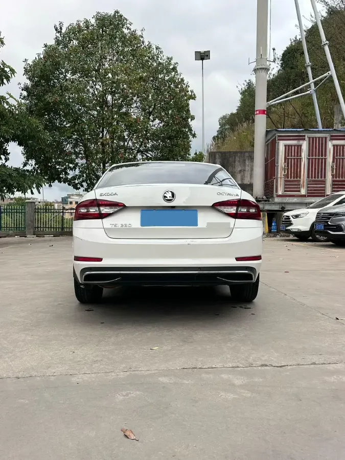 2018 Skoda Octavia 1.2T 116HP L4 7DCT,autocango,china used car exporter,china ev exporter,chinese used car exporter,chinese used ev exporter