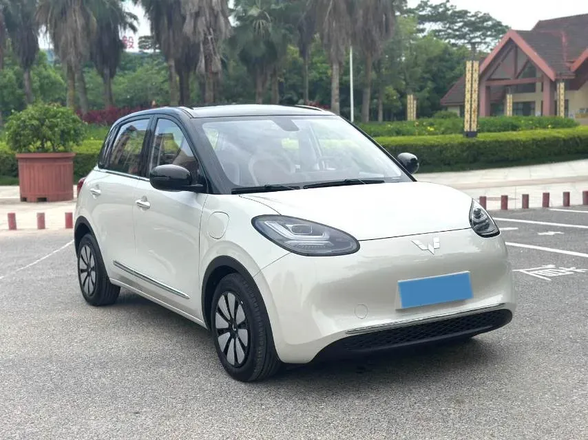 2023 WuLing BinGuo BEV 37.9KWH,autocango,china used car exporter,china ev exporter,chinese used car exporter,chinese used ev exporter