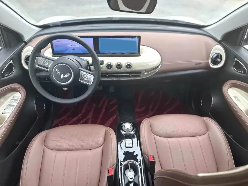 2023 WuLing BinGuo BEV 37.9KWH,autocango,china used car exporter,china ev exporter,chinese used car exporter,chinese used ev exporter