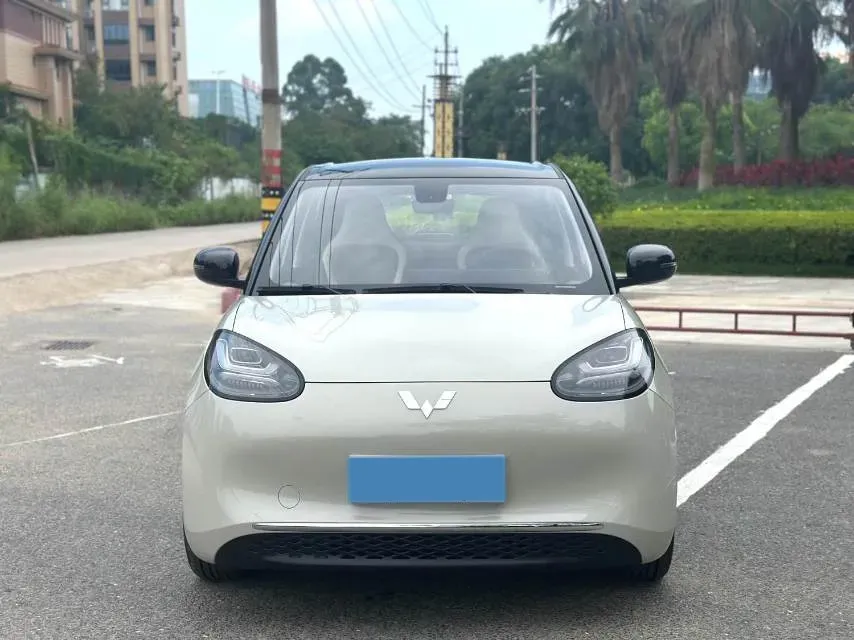 2023 WuLing BinGuo BEV 37.9KWH,autocango,china used car exporter,china ev exporter,chinese used car exporter,chinese used ev exporter