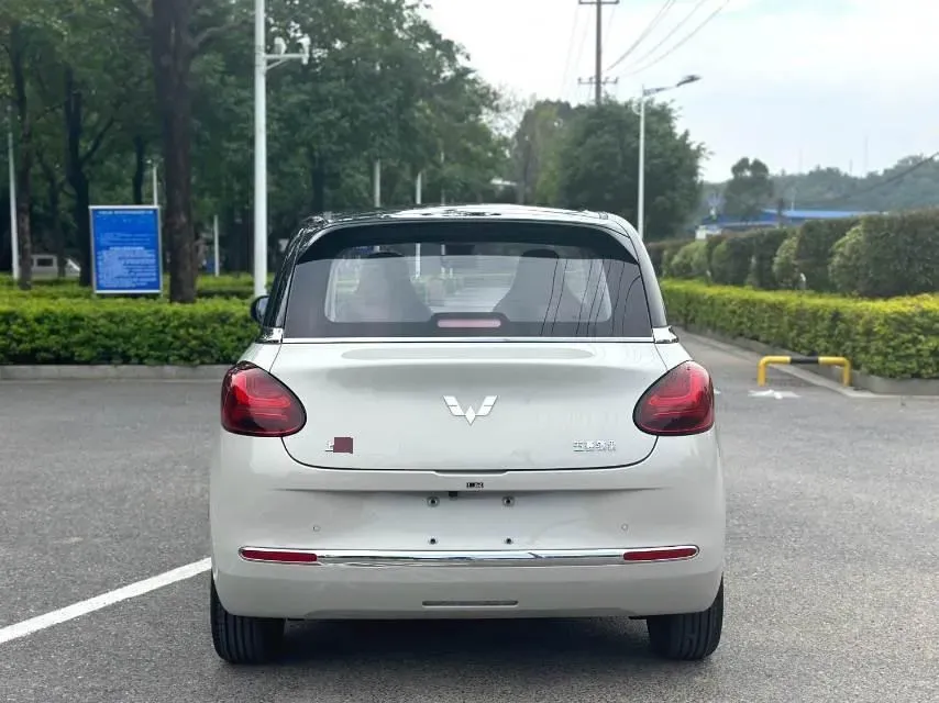 2023 WuLing BinGuo BEV 37.9KWH,autocango,china used car exporter,china ev exporter,chinese used car exporter,chinese used ev exporter