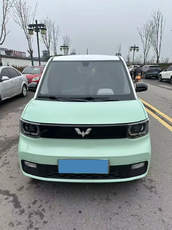 2021 WuLing HongGuang MINI EV BEV 13.8KWH,autocango,china used car exporter,china ev exporter,chinese used car exporter,chinese used ev exporter