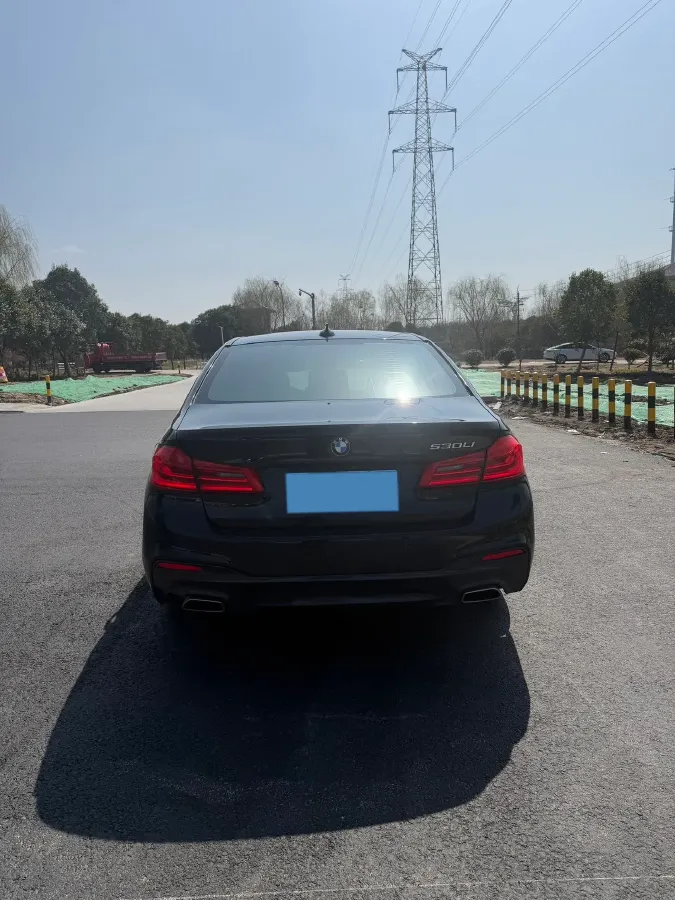 2020 BMW 5 Series 2.0T 184HP L4 8AT,autocango,china used car exporter,china ev exporter,chinese used car exporter,chinese used ev exporter