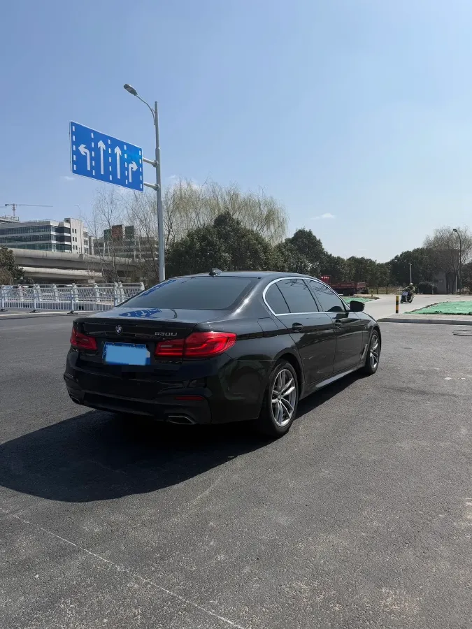 2020 BMW 5 Series 2.0T 184HP L4 8AT,autocango,china used car exporter,china ev exporter,chinese used car exporter,chinese used ev exporter