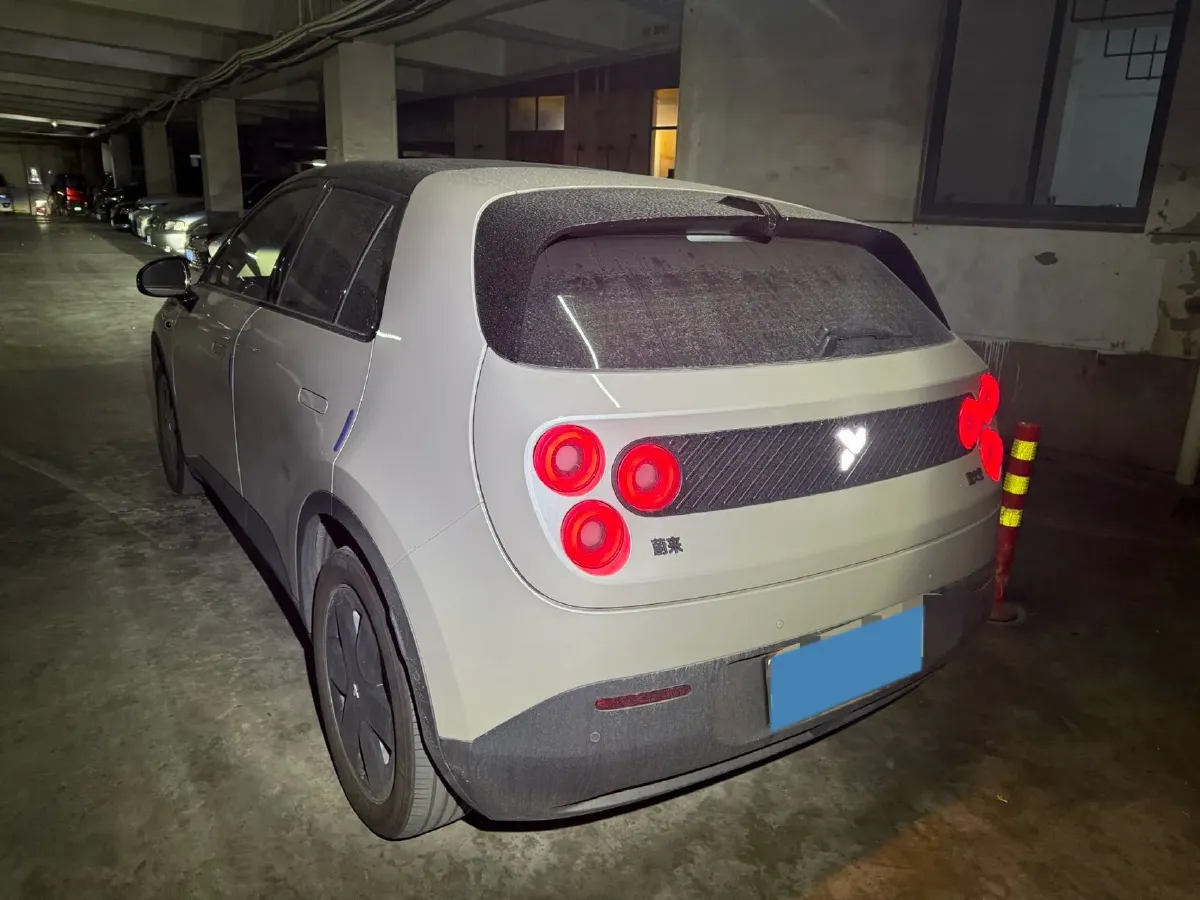2025 Firefly Firefly BEV,autocango,china used car exporter,china ev exporter,chinese used car exporter,chinese used ev exporter