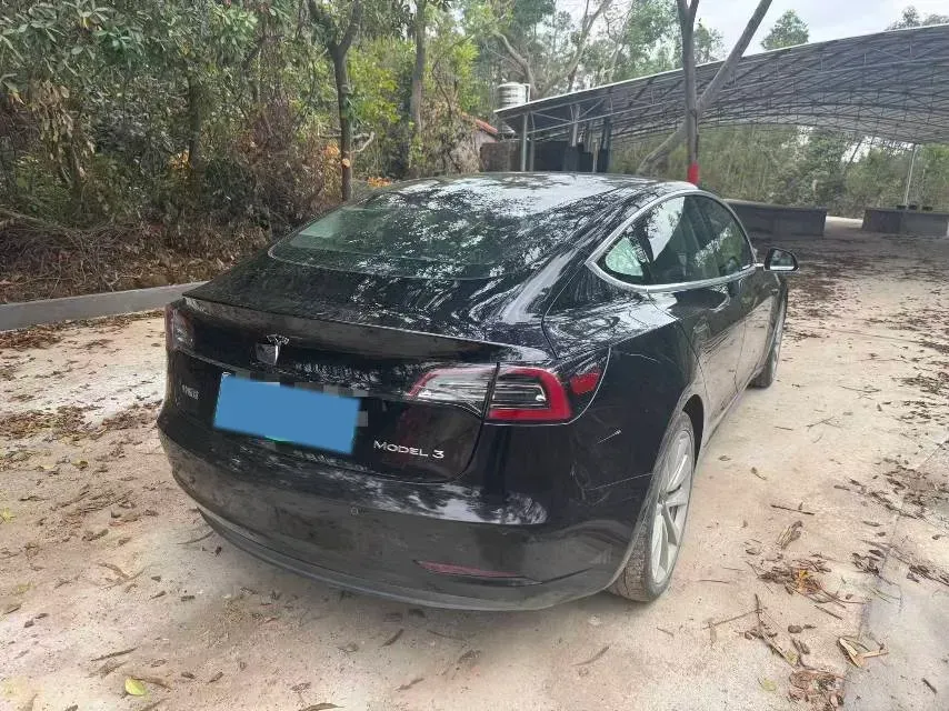 2020 Tesla Model 3 BEV 55KWH,autocango,china used car exporter,china ev exporter,chinese used car exporter,chinese used ev exporter