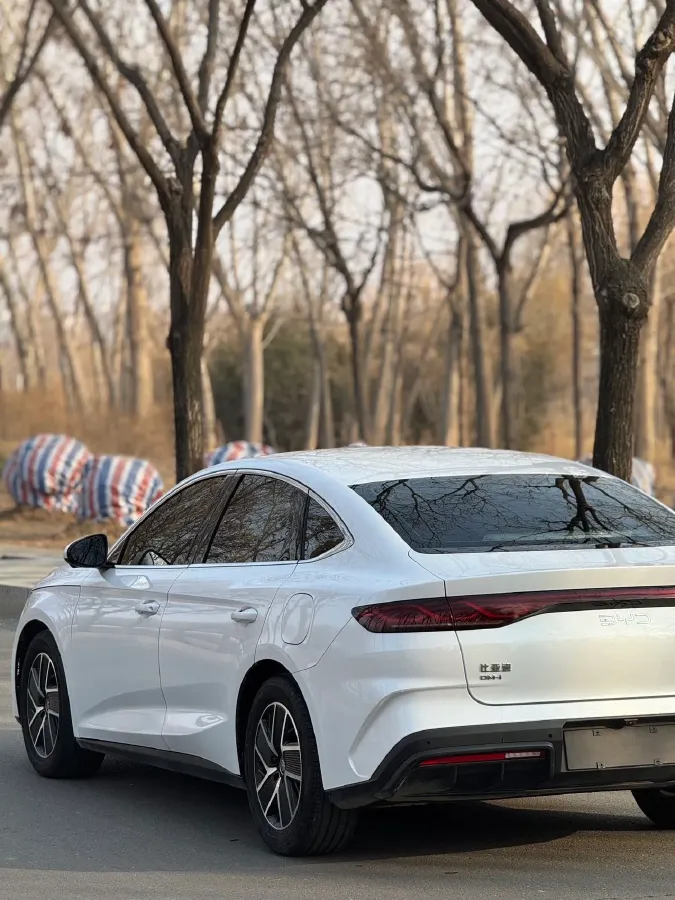 2024 BYD QinL 1.5L 101HP L4 E-CVT PHEV 10.08KWH,autocango,china used car exporter,china ev exporter,chinese used car exporter,chinese used ev exporter