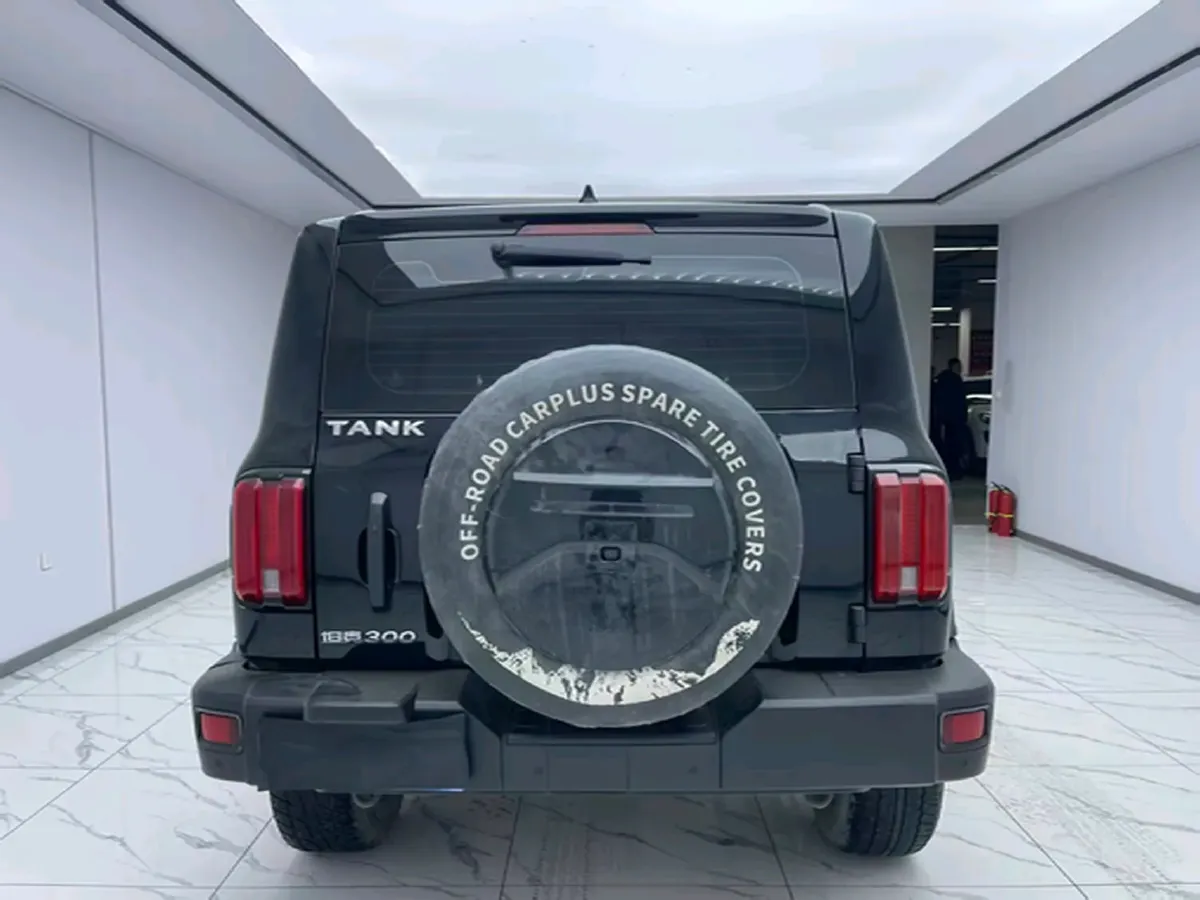 2024 Tank 300 2.0T 227HP L4 8AT,autocango,china used car exporter,china ev exporter,chinese used car exporter,chinese used ev exporter