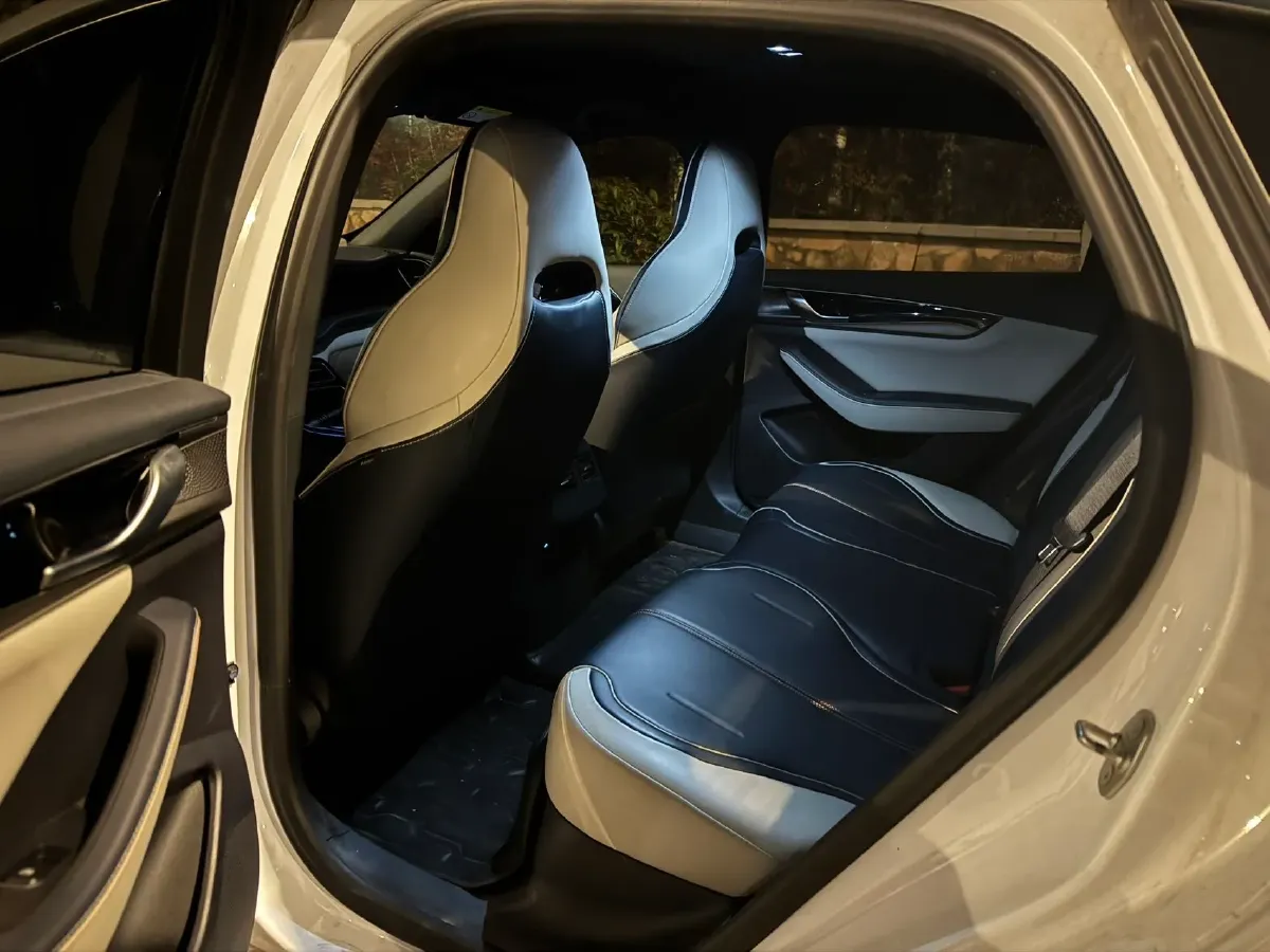 2021 DongFeng FuKang e Elysee BEV 38.4KWH,autocango,china used car exporter,china ev exporter,chinese used car exporter,chinese used ev exporter