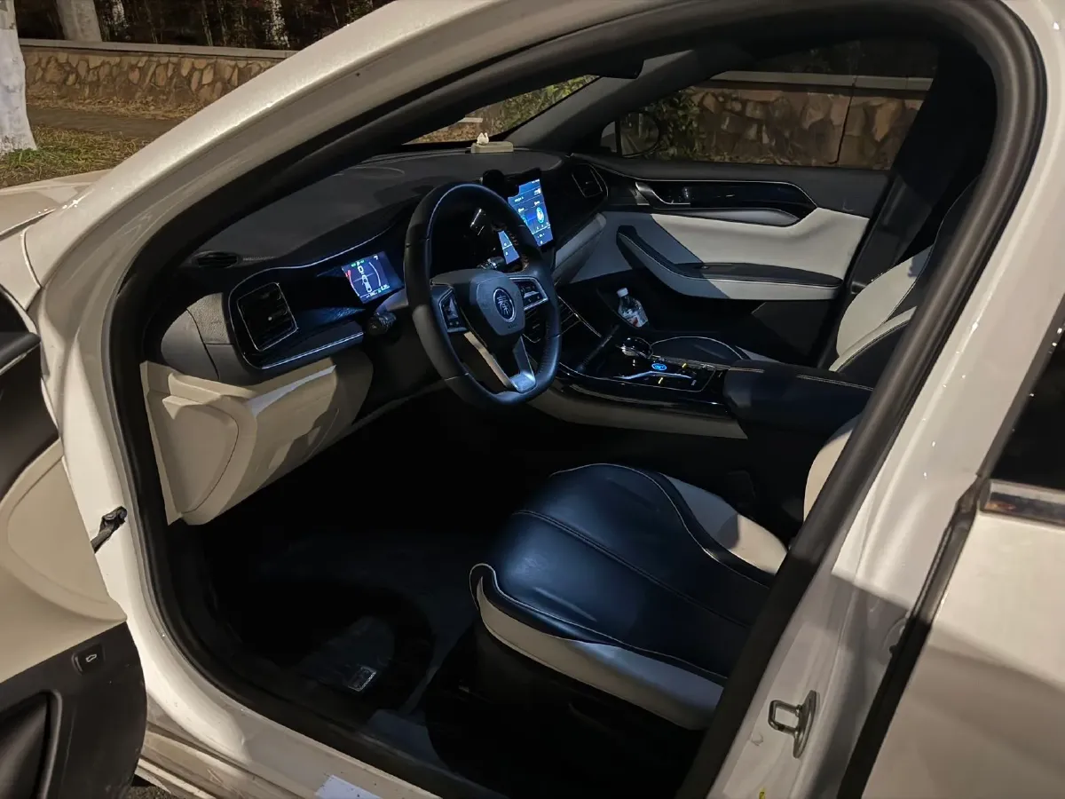 2021 DongFeng FuKang e Elysee BEV 38.4KWH,autocango,china used car exporter,china ev exporter,chinese used car exporter,chinese used ev exporter