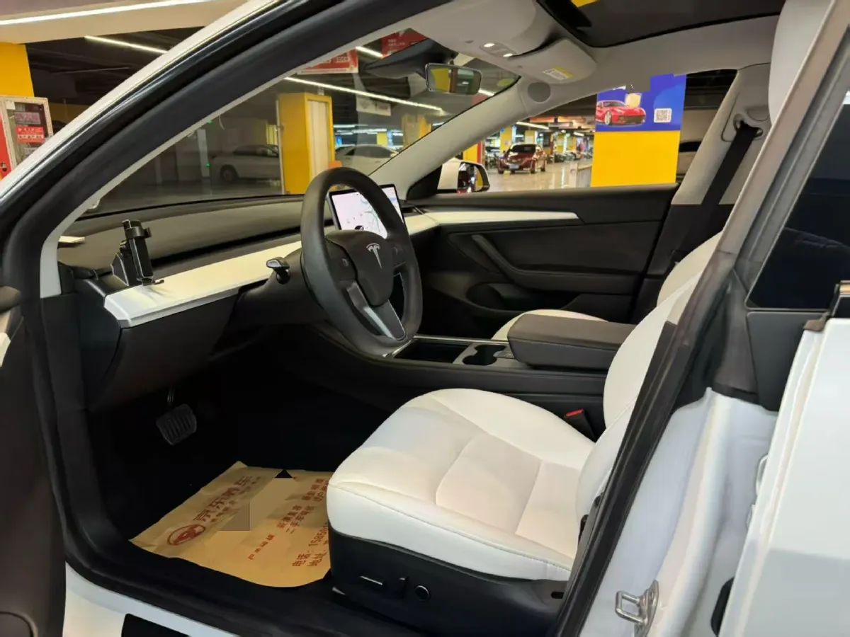 2021 Tesla Model 3 BEV 55KWH,autocango,china used car exporter,china ev exporter,chinese used car exporter,chinese used ev exporter