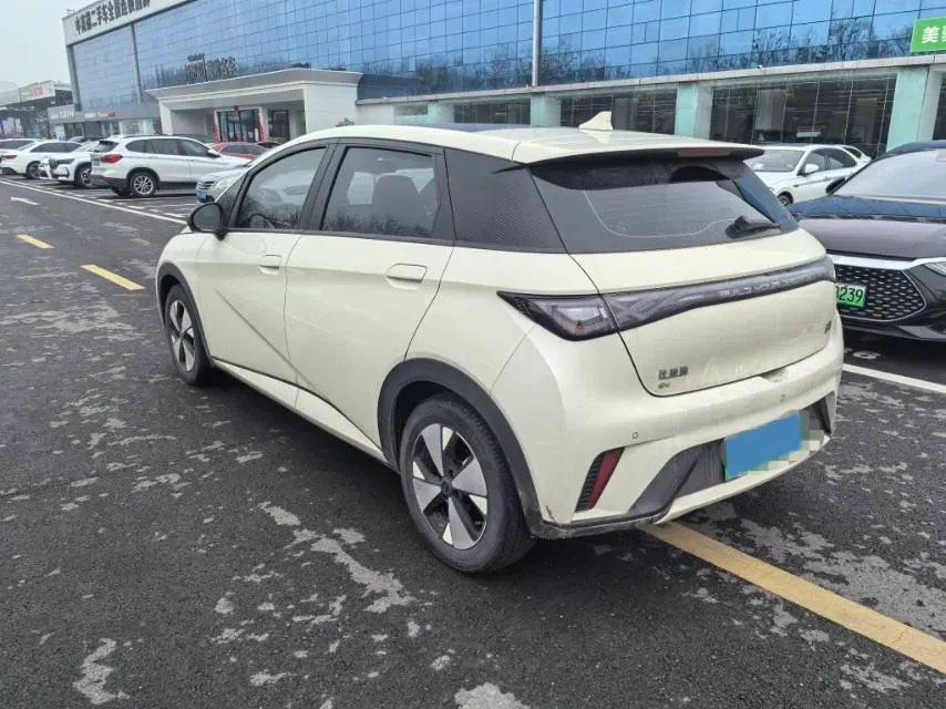 2023 BYD Dolphin BEV 44.928KWH,autocango,china used car exporter,china ev exporter,chinese used car exporter,chinese used ev exporter